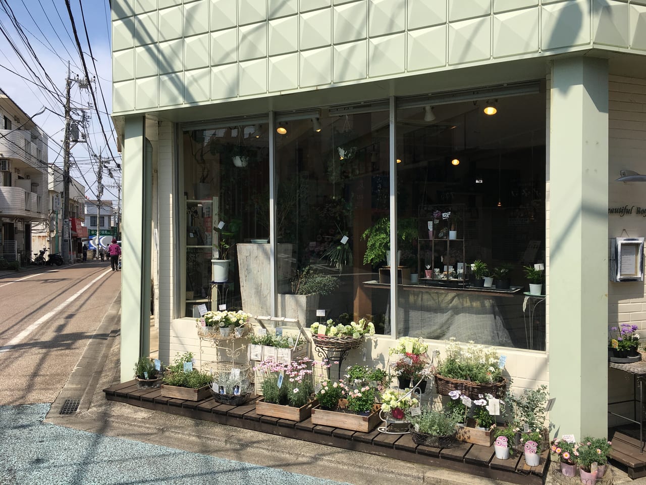 相模原市南区 東林間のお洒落な花屋さんビューティフルボーイで観葉植物を買いました 号外net 相模原市南区