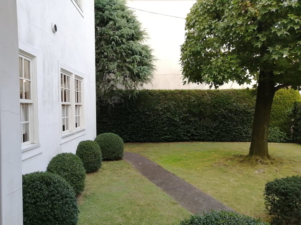 【相模原市南区】極上タイムを過ごせます。東林間にあるTEA ROOM BURTON（ティールーム バートン）へ行ってきました