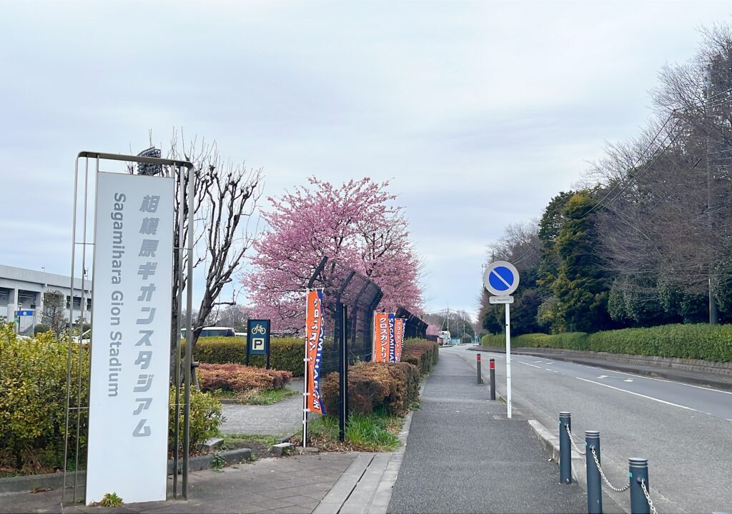 ギオンスタジアム桜