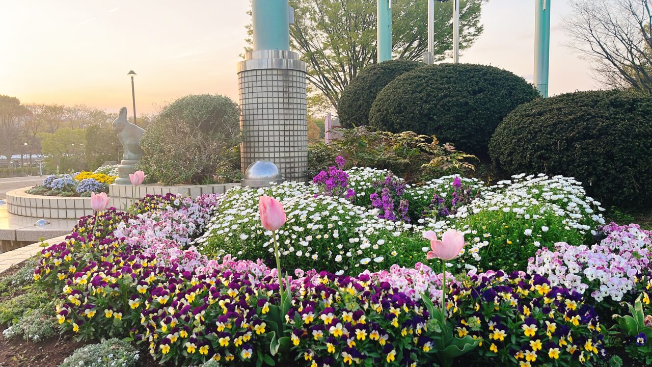 麻溝公園2025.04
