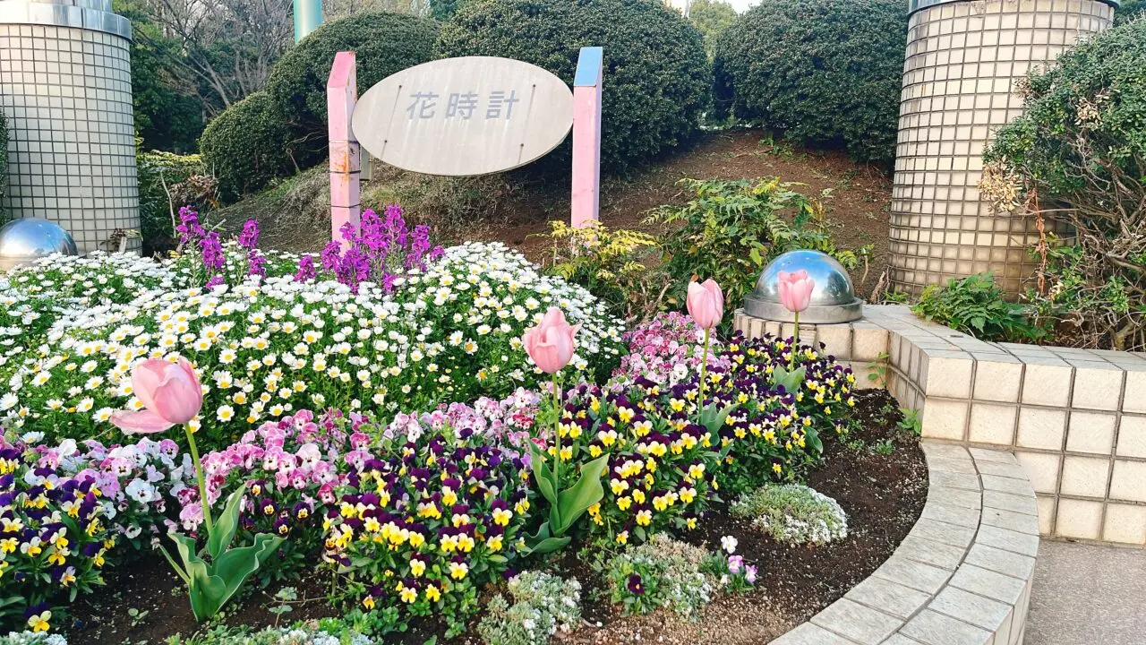 麻溝公園2025.04