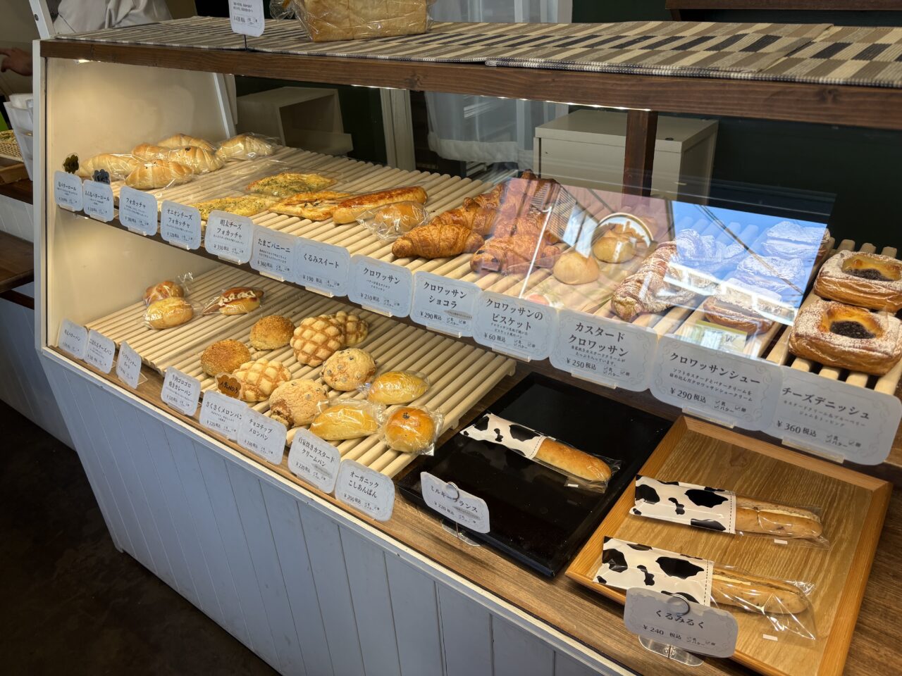ショーケース