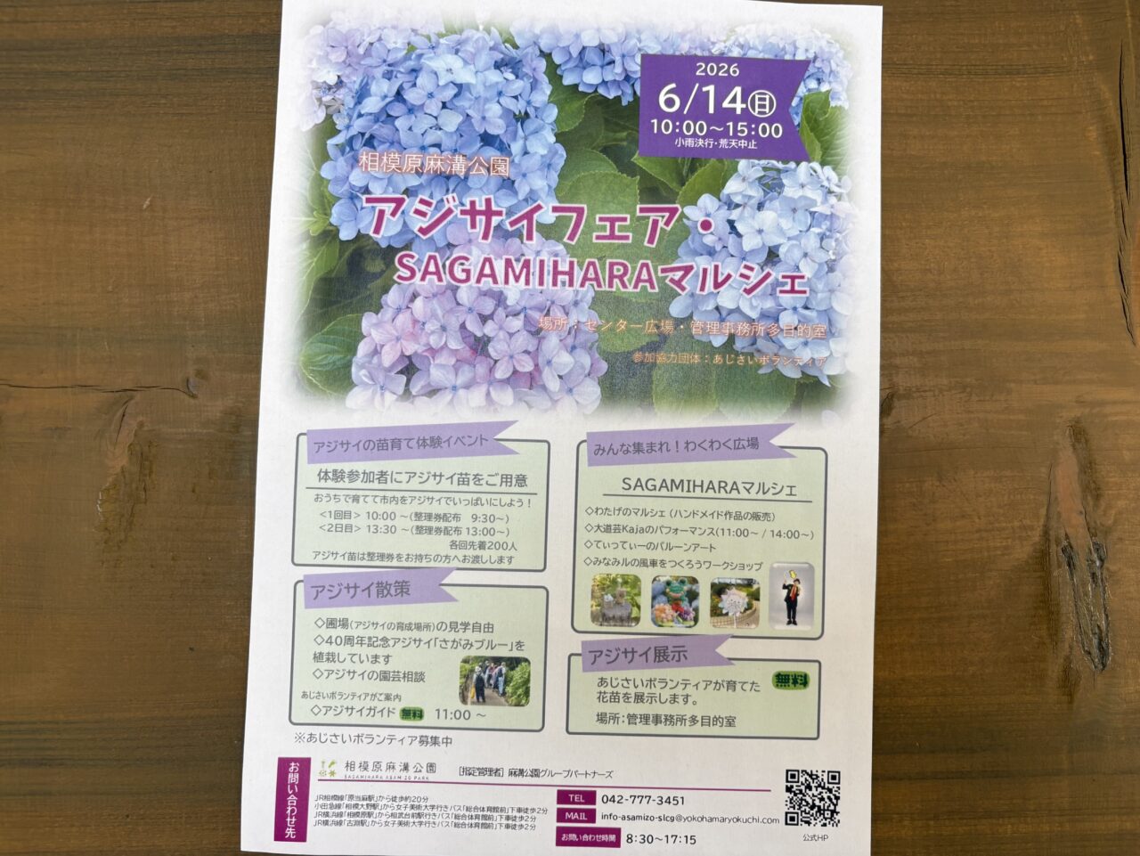 アジサイフェアチラシ