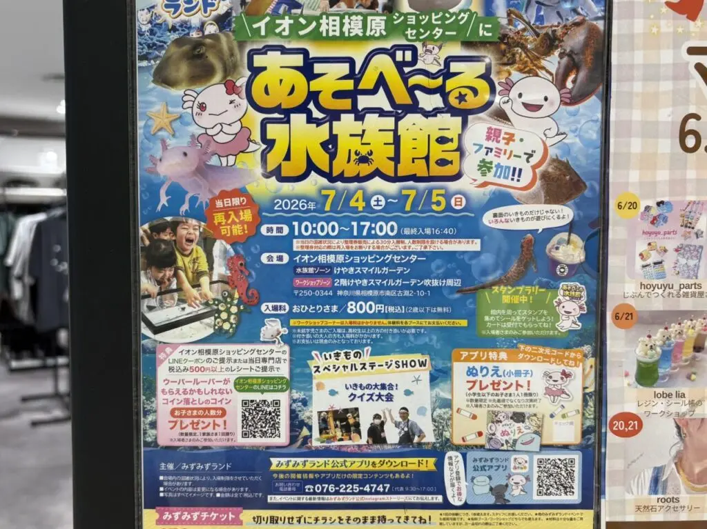 あそべ〜る水族館チラシ