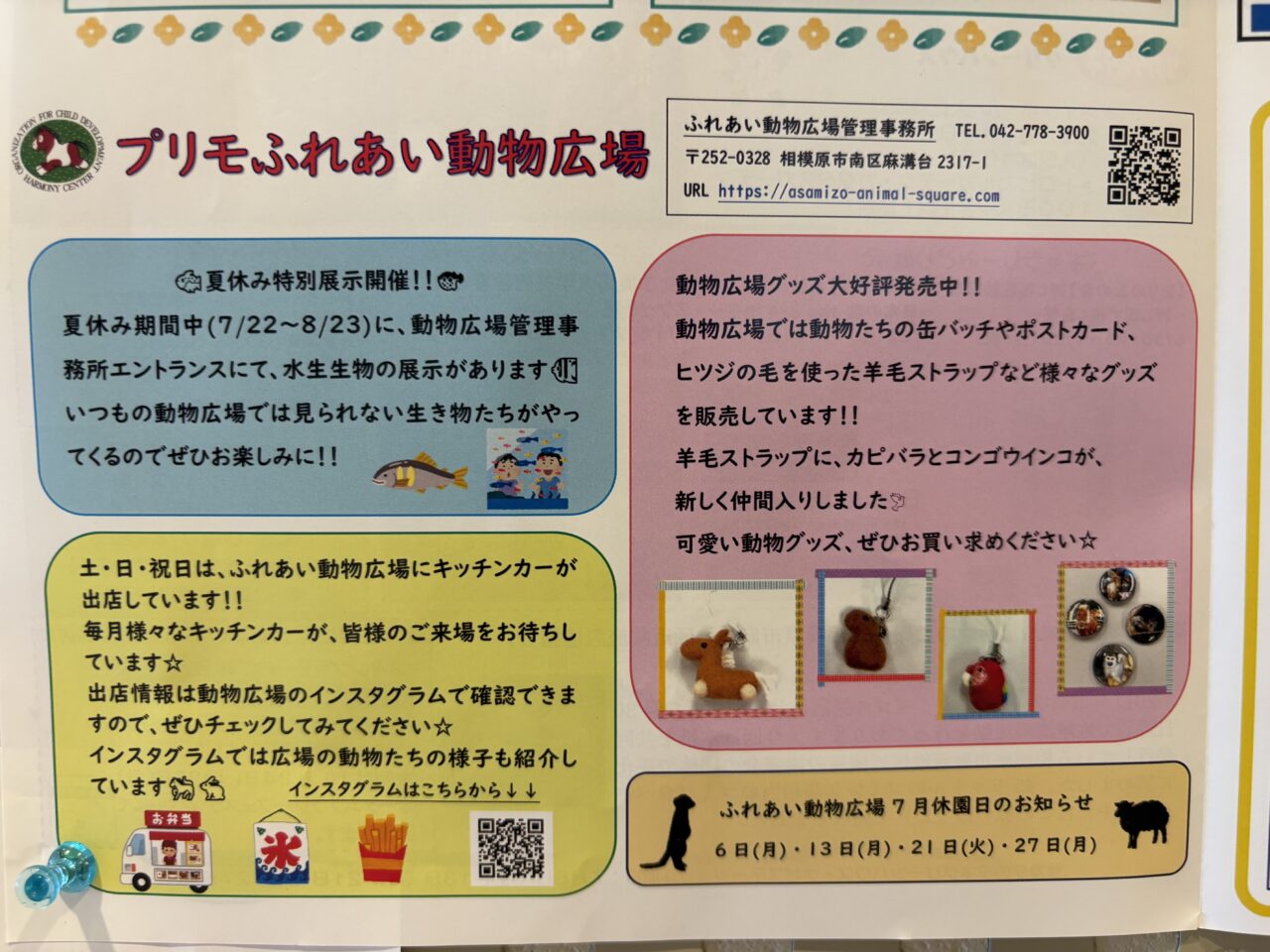 プリモチラシ
