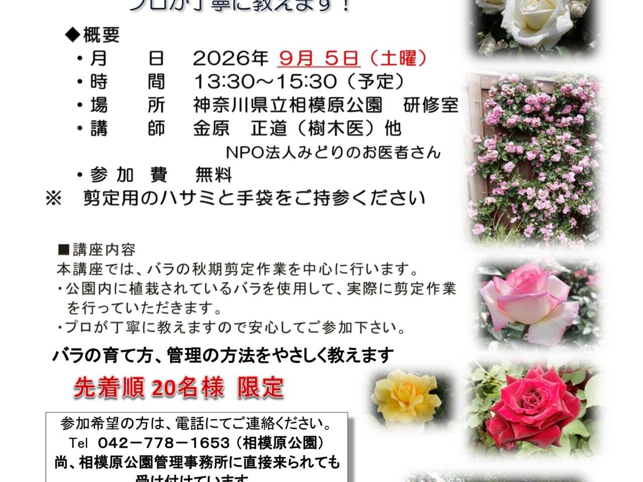 バラチラシ
