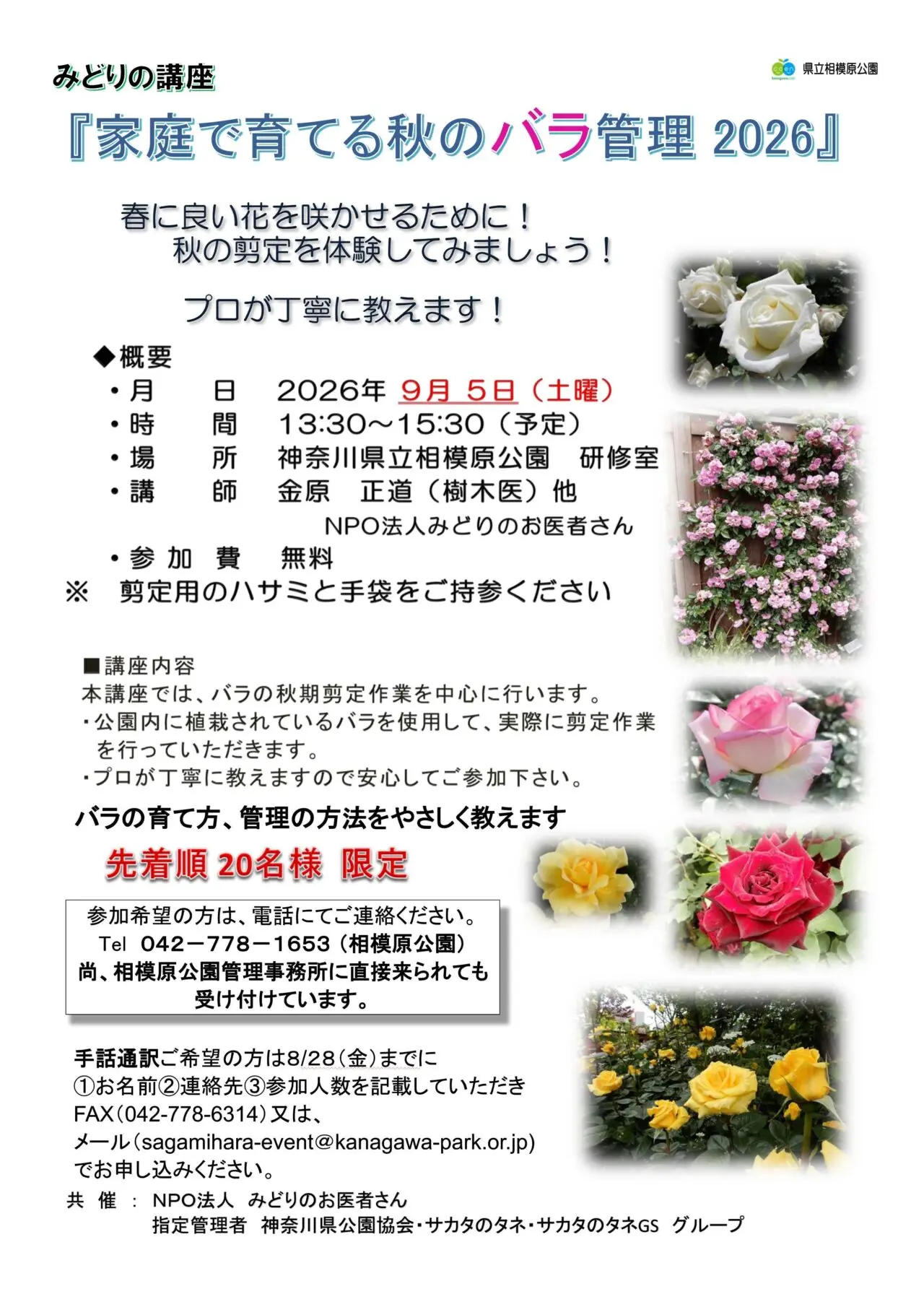 バラチラシ