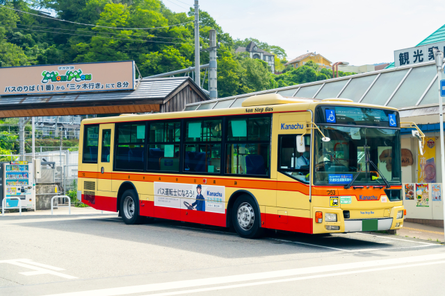バス