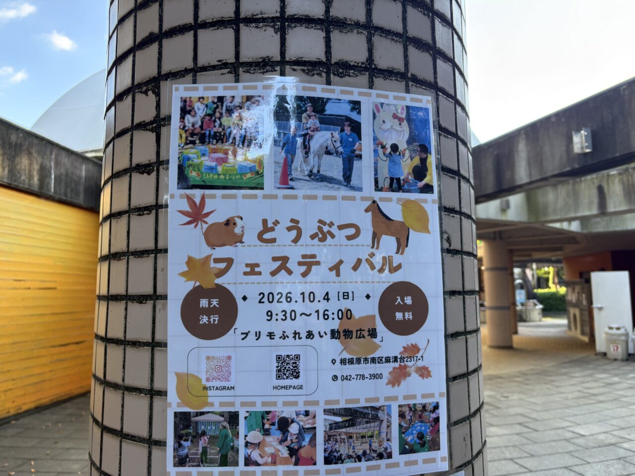 どうぶつフェスティバル