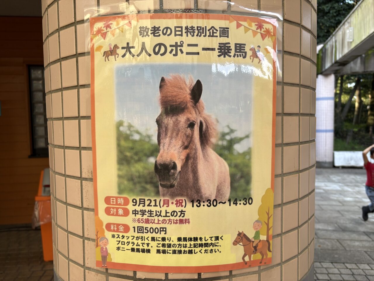 ポニーチラシ
