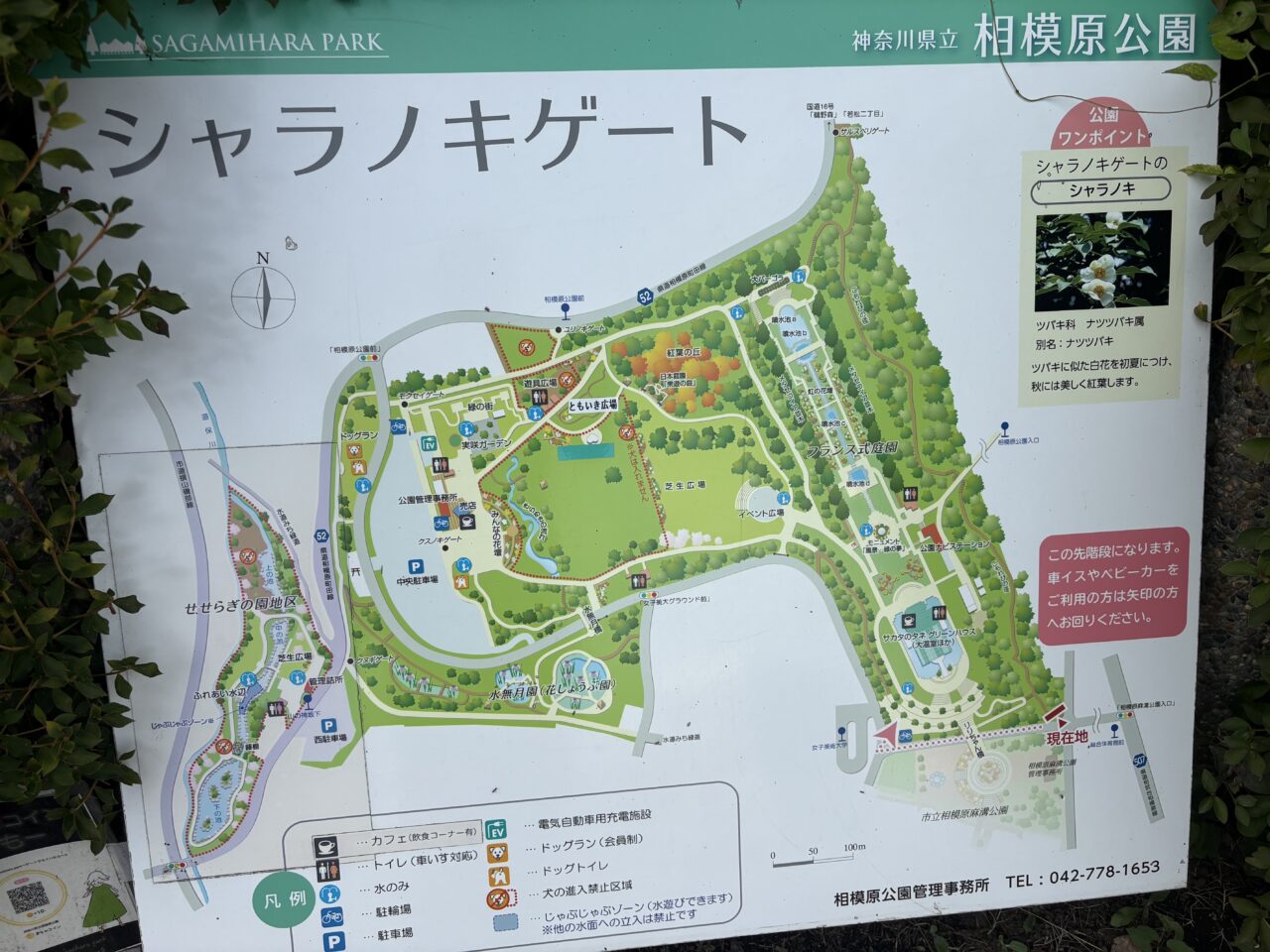 相模原公園案内図