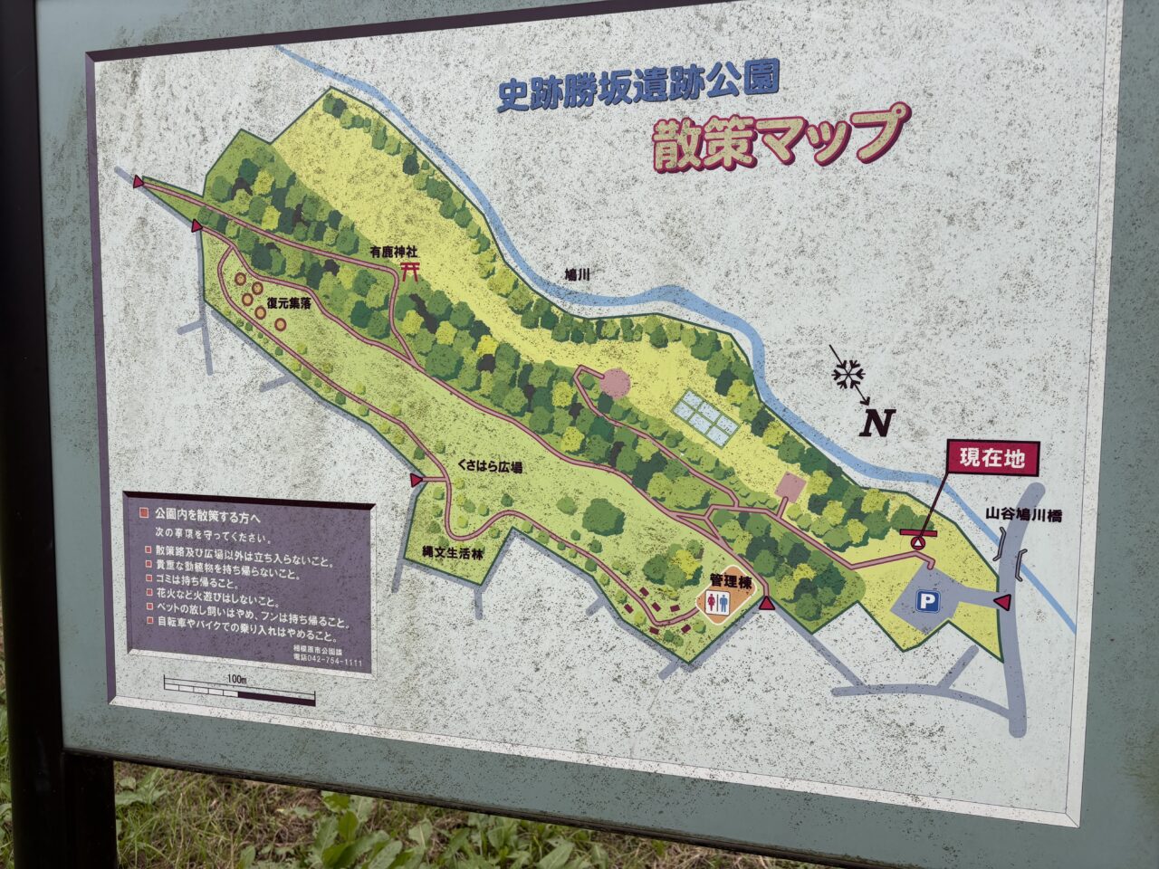 勝坂遺跡