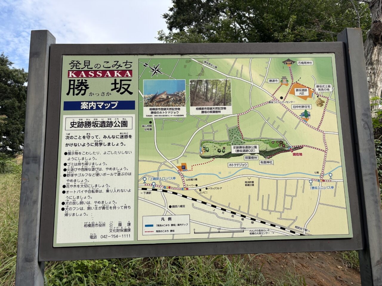 勝坂