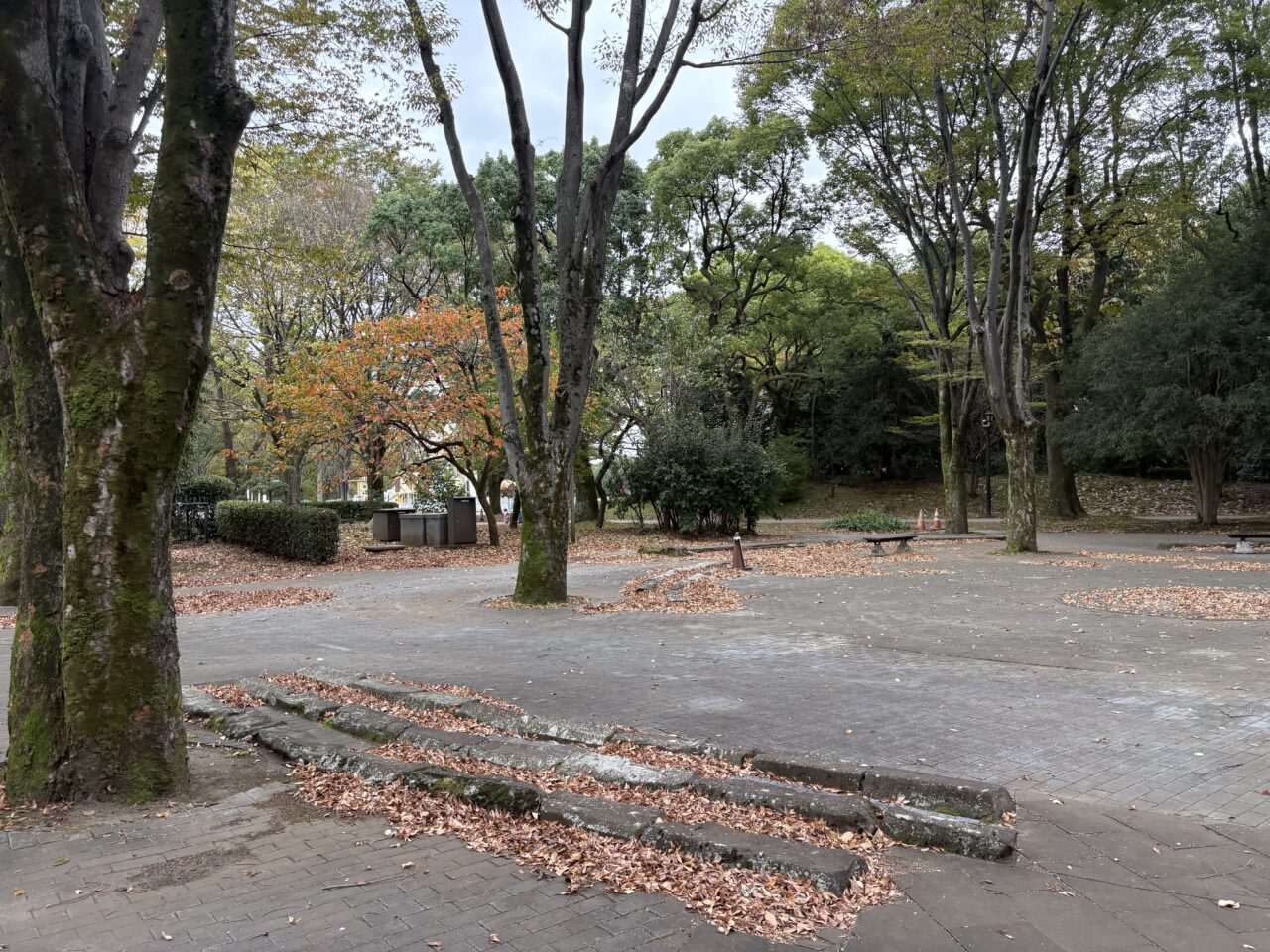 相模原公園
