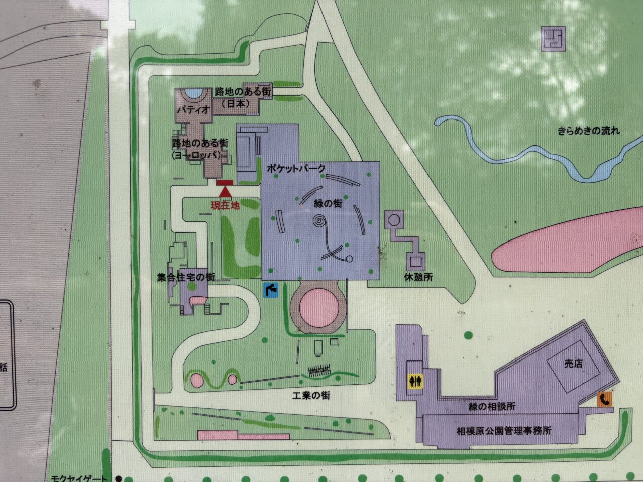 相模原公園